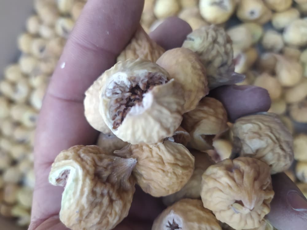 فروش انجیر خشک سوپر سه آ + خرید انلاین و مطمئن